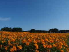 茨城県精神保健協会